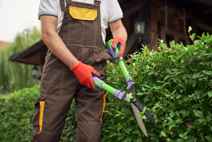 Jardineiro com Experiência a Tempo Inteiro